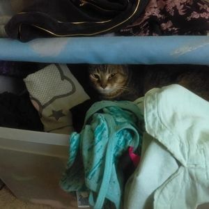 Meet your Posher, Staci